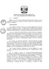 Vista preliminar de documento R.D N 102-2021