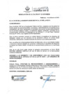 Vista preliminar de documento RA163