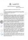 Vista preliminar de documento RA202