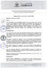 Vista preliminar de documento RA209