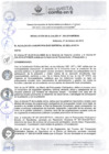 Vista preliminar de documento RA206