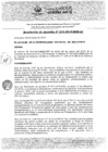 Vista preliminar de documento RA216