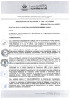 Vista preliminar de documento RA2402019