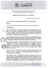 Vista preliminar de documento RA2472019