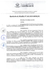 Vista preliminar de documento RA2482019