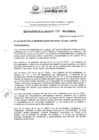 Vista preliminar de documento RA4552019