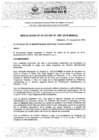 Vista preliminar de documento RA5282019