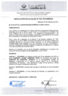 Vista preliminar de documento RA5382019