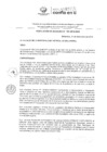 Vista preliminar de documento RAPOI2020