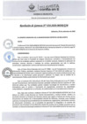 Vista preliminar de documento RG0382020MDB1