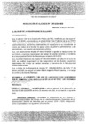 Vista preliminar de documento RAN2952020MDB