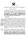 Vista preliminar de documento RDR_011_2018_OREI.pdf