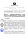 Vista preliminar de documento RDR_015_2018_OREI.pdf