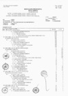 Vista preliminar de documento ANEXOS(P2)-RS-001-2017-SGEN-RENIEC