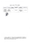 Vista preliminar de documento Anexo