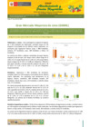 Vista preliminar de documento Boletín de Abastecimiento y Precios Mayoristas GMML y MM Nº 2 -07/04/21