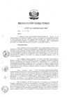 Vista preliminar de documento RD 162-2018
