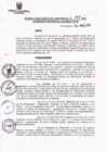 Vista preliminar de documento Resolución Ejecutiva  307-2014 GRA/GR