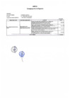 Vista preliminar de documento Anexo