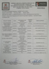 Vista preliminar de documento DIRECTORIO DE LOS MIEMBROS DEL CODISEC 2021