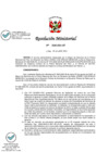 Vista preliminar de documento 0228-2021-IN