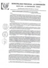 Vista preliminar de documento RGM-191-2021-GM-MPLC