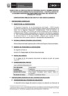 Vista preliminar de documento Bases del Concurso de CAS N° 017-2021-OSCE