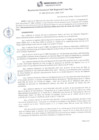 Vista preliminar de documento RGSRLS N° 094-2016
