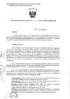 Vista preliminar de documento R.D. 031-2021-MIDAGRI-PSI.pdf