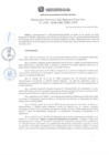 Vista preliminar de documento RGSRLS N° 132-2016