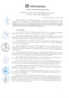 Vista preliminar de documento RGSRLS N° 134-2016