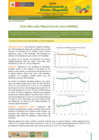 Vista preliminar de documento Boletín de Abastecimiento y Precios Mayoristas GMML y MM Nº 2 -16/04/21
