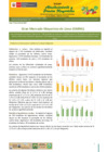Vista preliminar de documento Boletín de Abastecimiento y Precios Mayoristas GMML y MM Nº 2 -19/04/21