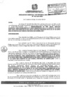 Vista preliminar de documento RGSRLS0010-2011