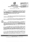 Vista preliminar de documento RGSRLS 011-2011