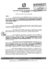 Vista preliminar de documento RGSRLS0019-2011