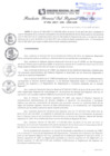 Vista preliminar de documento RGSRLS N° 041-2017