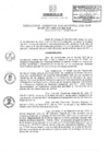 Vista preliminar de documento RGSRLS0033-2011