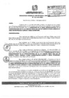 Vista preliminar de documento RGSRLS0036-2011
