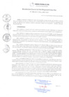 Vista preliminar de documento RGSRLS N° 056-2017