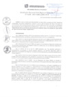 Vista preliminar de documento RGSRLS N° 102-2017