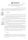 Vista preliminar de documento RGSRLS N° 010-2017