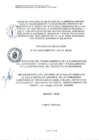 Vista preliminar de documento Bases Empresa Privada - Smelter - 2020