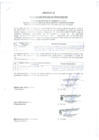Vista preliminar de documento Acta de Presentación Propuestas Empresa Privada - Smelter - 2020