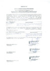 Vista preliminar de documento Acta de Presentación Propuestas Empresa Privada - Uliachín - 2020
