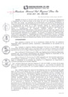 Vista preliminar de documento RGSRLS N° 019-2017