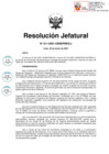 Vista preliminar de documento RJ-011-2021-CENEPRED-J