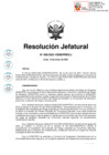 Vista preliminar de documento RJ-006-2021-CENEPRED-J
