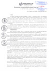 Vista preliminar de documento RGSRLS N° 027-2017