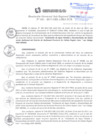 Vista preliminar de documento RGSRLS N° 031-2017